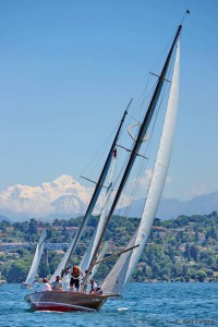 Mont Blanc und Elfe