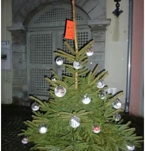 w_baum2012