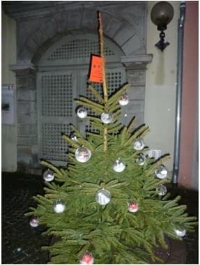 w_baum2012