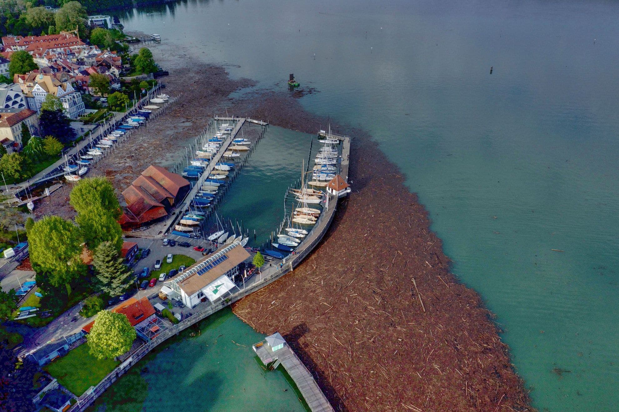 Treibholz: LSC Hafen wieder offen