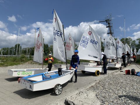 Sonnenfisch Optiregatta